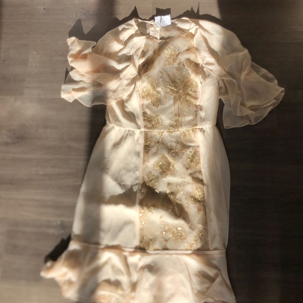 Bcbg dress
